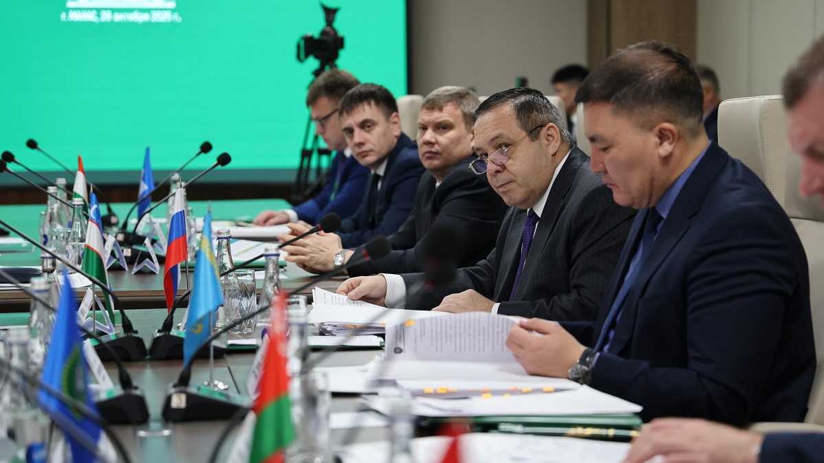 Рассмотрение предложений пограничных ведомств государств – участников СНГ.